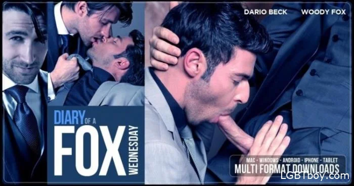 Diary of a Fox Wednesday [HD 720p] Gay Clips (275 MB)