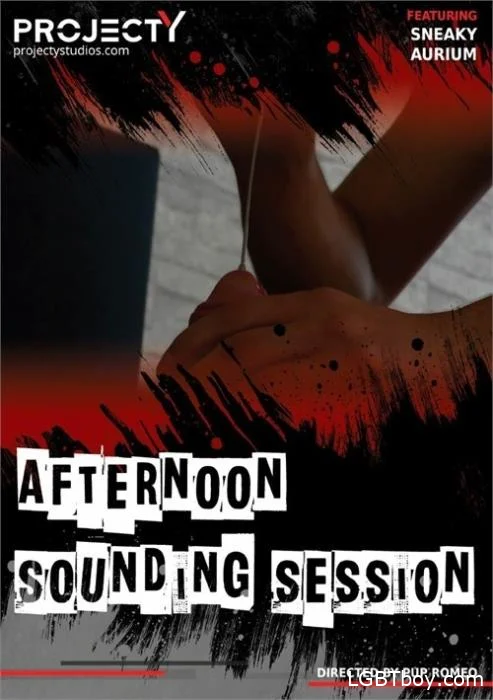 Afternoon Sounding Session [FullHD] Gay Clips (466,88 Mb)
