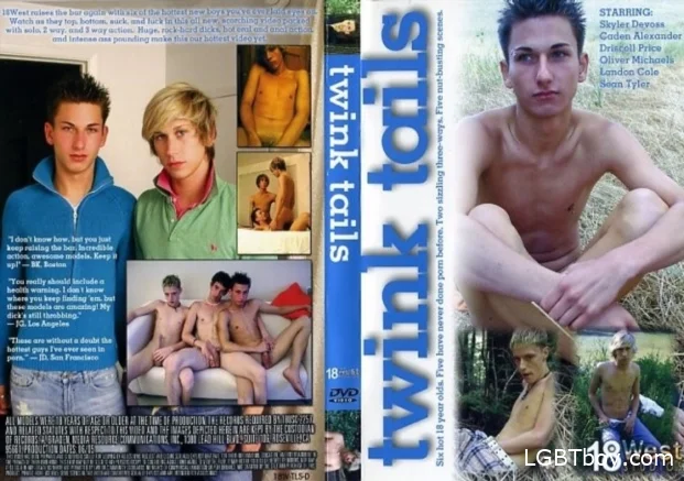 Twink Tails [DVDRip] Gay Movies (935.4 MB)