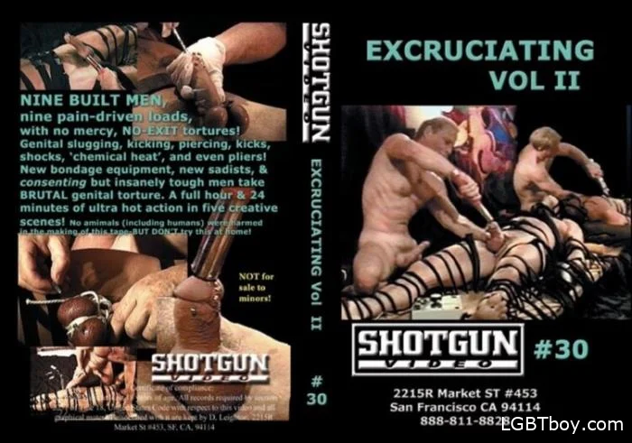 Excruciating, Vol II [DVDRip] Gay Movies (699 MB)