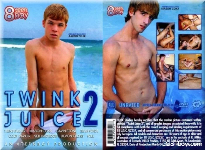 Twink Juice 2 [DVDRip] Gay Movies (877.3 MB)