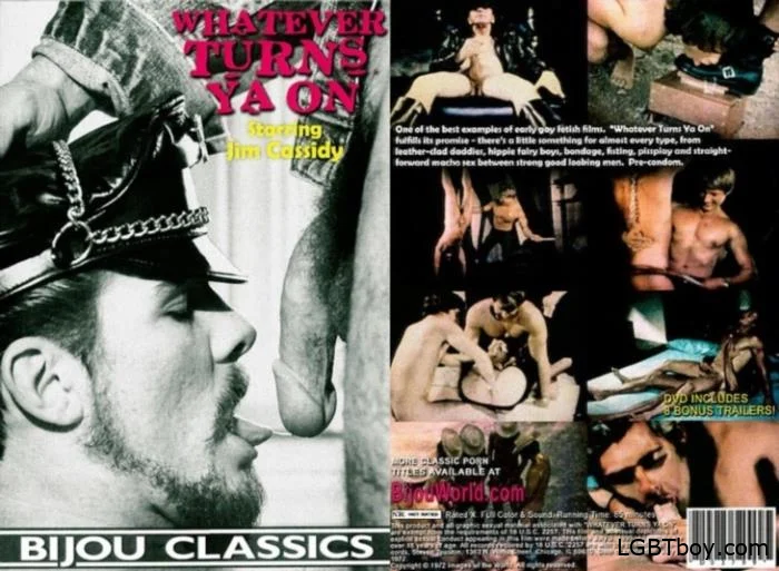 Whatever Turns Ya On [DVDRip] Gay Movies (861.4 MB)