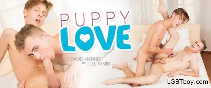 Puppy Love, Sc.1 Puppy Love Turns Into A Hard Teen Fuck For Joels Monster Dick [HD 720p] Gay Clips (794.5 MB)