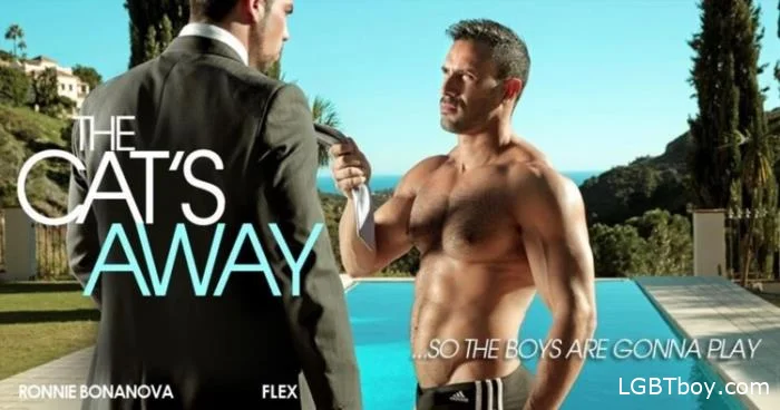 The Cat's Away [HD 720p] Gay Clips (448.6 MB)