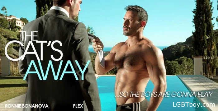 The Cat's Away [HD 720p] Gay Clips (449 MB)