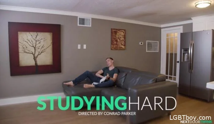 Studying Hard [HD 720p] Gay Clips (367.6 MB)