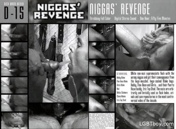 Nigga's Revenge [DVDRip] Gay Movies (1.1 GB)