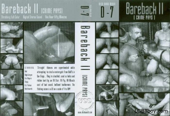 Bareback 2 Crimes Pays [DVDRip] Gay Movies (872.8 MB)
