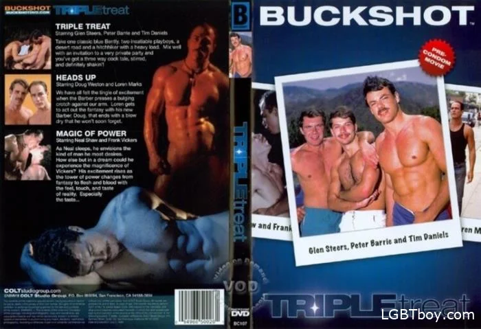 Triple Treat [DVDRip] Gay Movies (530.2 MB)