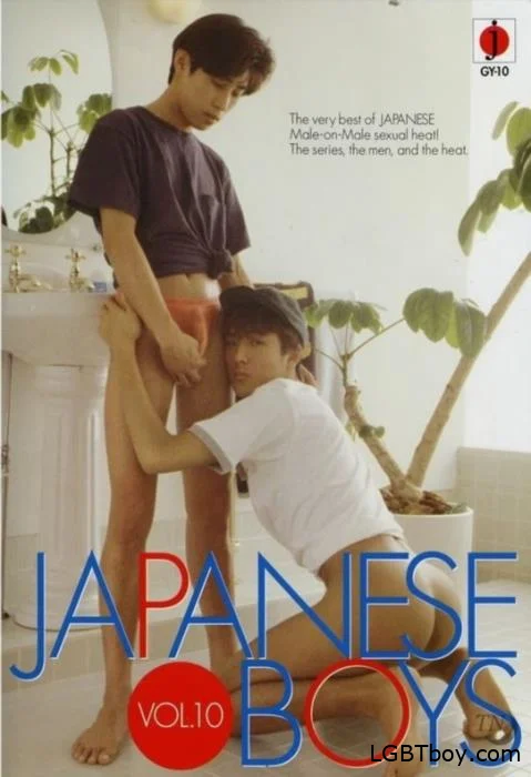 Japanese Boys Vol.10 [DVDRip] Gay Movies (699.5 MB)