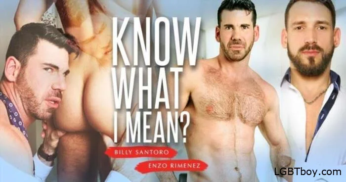 Preview of Know What I Mean [FullHD 1080p] Gay Clips (611.8 MB)