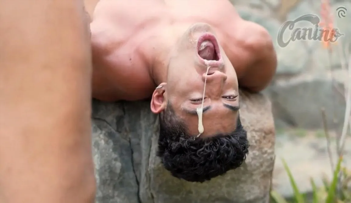 Five Latino Studs Use One Hungry Mouth Outdoors In A Sweaty Orgy - Gay Porn Video on LGBTBoy
